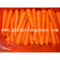 Neue Crop Fresh Carrot wird von der Fabrik geliefert